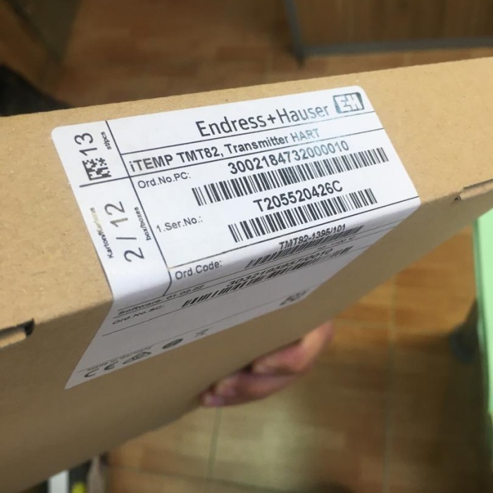 E+H TMT82