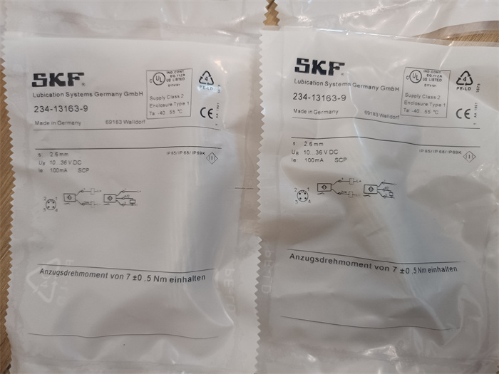 SKF Lincoln 234-13163-9